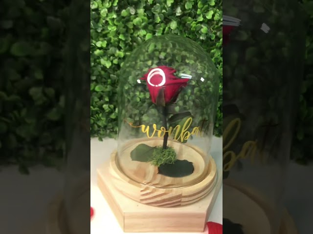 Vídeo relacionado con SIMBOLIKS Rosa de Sant Jordi, Pulsera Roja de la Llegenda | Regalo Día de la Madre, Diada de Catalunya, Día del Libro, Amor y Protección, Detalle para Mujer, San Valentín y Enamorados