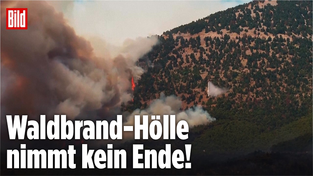 ATHEN: Waldbrand-Inferno geht weiter – Hunderte bekämpfen die Flammen!