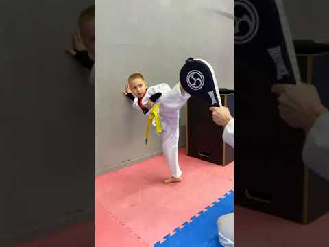 TAEKWONDO TECHNIK/Kinder
