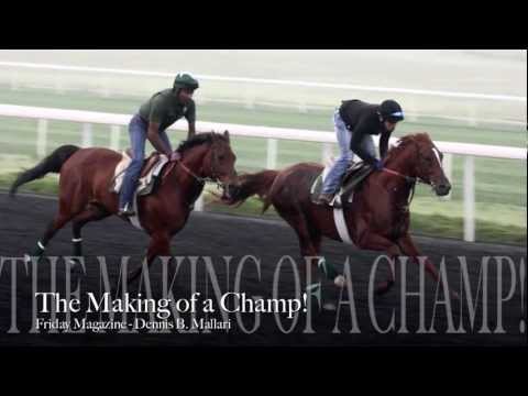 Dubai World Cup Horse racing 2012