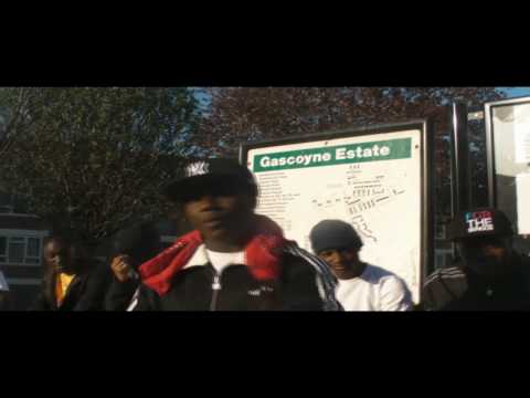 DAILY DUPPY - TURTLE BALLANCE