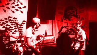 Electro Hippies - Starve The City (To Feed The Poor) (Peel Session)