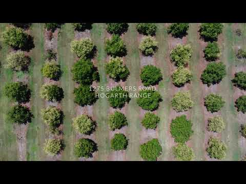 1255 Bulmers Road, Hogarth Range, NSW 2469, 1 Schlafzimmer, 1 Badezimmer, Lifestyle Property