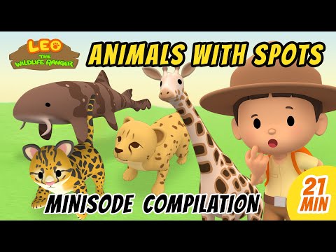 Animals with Spots Minisode Compilation - Leo The Wildlife Ranger | Animation | For Kids