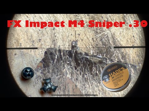 JSB Hades (.30), best hunting pellet in the world?? California Ground squirrel hunt 