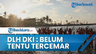 Pemprov DKI Jakarta Buka Suara terkait Perairan Ancol dan Teluk Angke yang Tercemar Paracetamol
