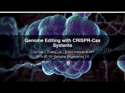 Genome Engineering Workshop 2019: Linyi Gao, CRISPR basics