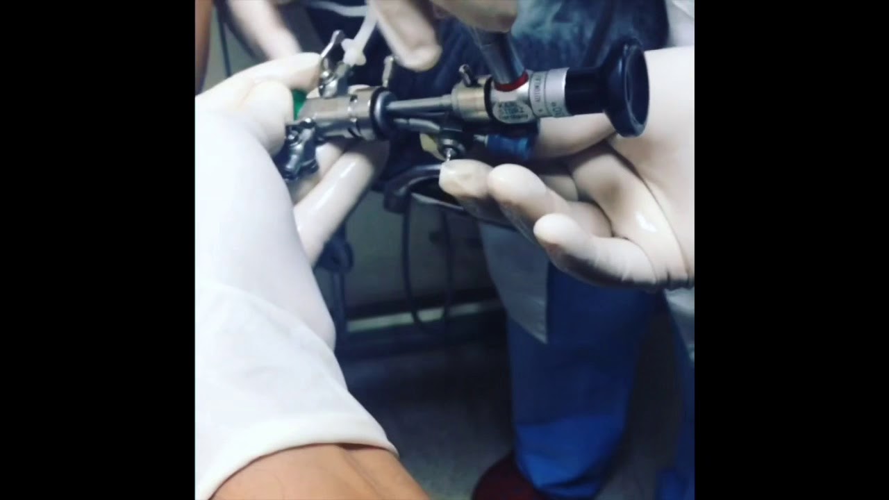 Carlos Londoño Martínez-20