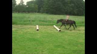 Goodbye Luna † Time of our Lives ♥