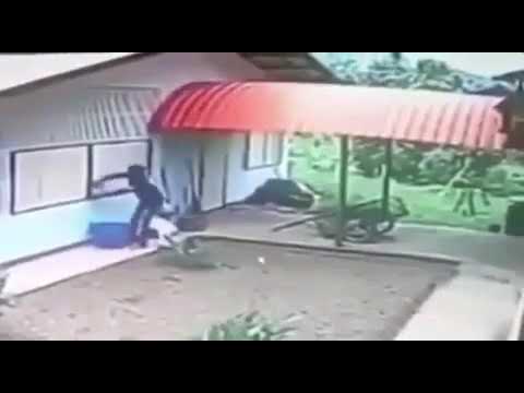 Lawak:apabila orang terlalu cerdik pecah rumah maka ini la jadi nya