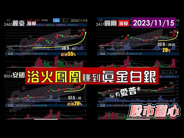 11/15【甜心盤後影音】浴火鳳凰賺到真金白銀！麗臺、兆利、圓剛、安國、愛普*