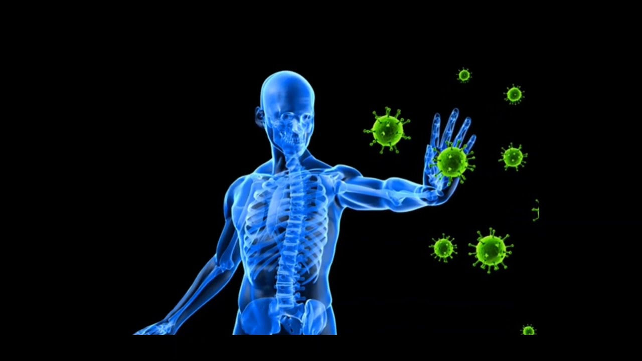 Auto-anticorps et maladies auto-immunes (partie1)