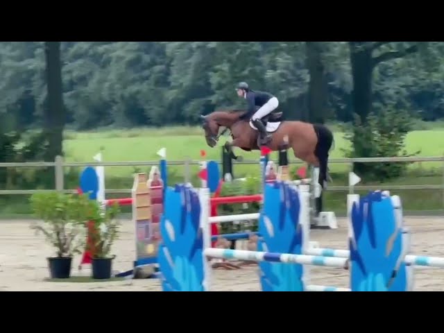 Angelix mother Implanted embryo United Touch S x Aganix du Seigneur