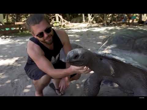 TOERISME GRAAD 11: 04 Junie 2020 - periode 8 (04118)