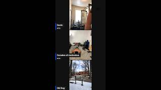 Fit Over 60 Saturday Morning Calisthenics 500 Dips