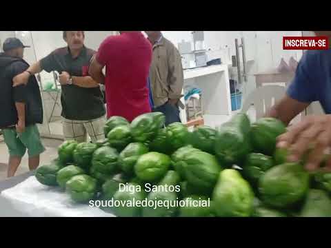 FEIRA NO MERCADO DE RIO DO PRADO MG 
