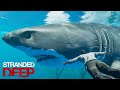 The Biggest Great White Shark In Stranded Deep Shorts