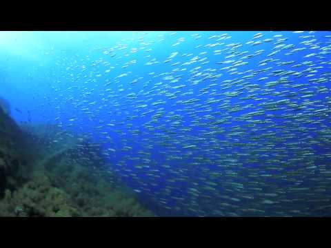 El Bajon, El Hierro,Spanien