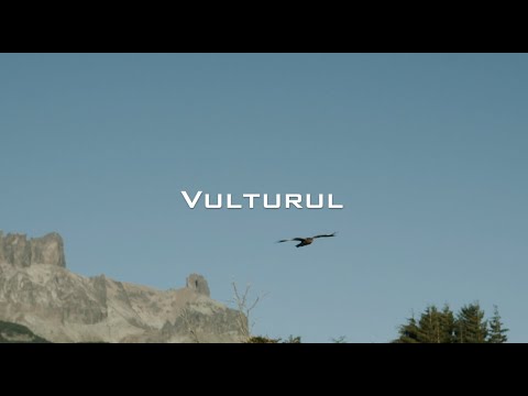 Vulturul-Angela Stănilă (NOU)