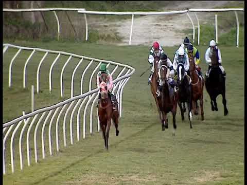 Galoppo 13/01/2020 - 6ª corsa