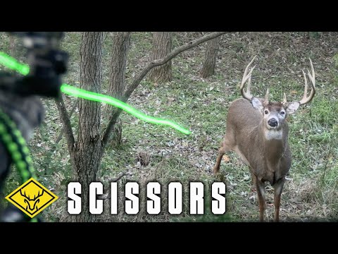 "SCISSORS" | 180" GIANT Buck... 10 Yards and Closing!!