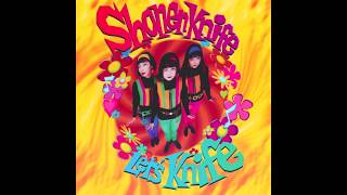 Shonen Knife – 04 TORTOISE BRAND POT SCRUBBING CLEANER&#39;S THEME (SEA TURTLE)