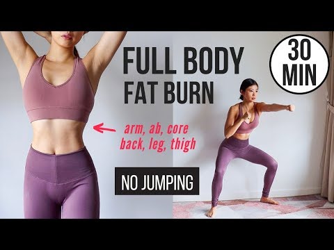 30 min Full Body Fat Burn HIIT (NO JUMPING) - Ab, Core, Arm, Back, Leg, Thigh & Cardio ~ Emi thumnail