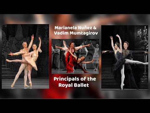 Marianela Nuñez & Vadim Muntagirov Pas de Deux - The Royal Ballet