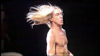 Iggy Pop - My Idea Of Fun