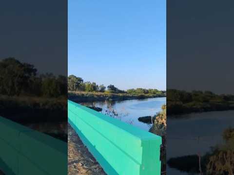 Arroyo El Gato en Ensenada Buenos Aires Argentina