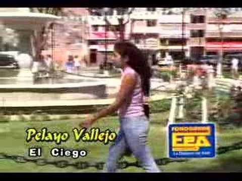 03. El Ciego - Pelayo Vallejo - Oyon