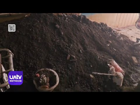 Tres sujetos intentaron hacer un túnel para robar en sucursal bancaria de Curarrehue