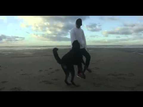 ALADIN 135 -  Balade Clip Officiel