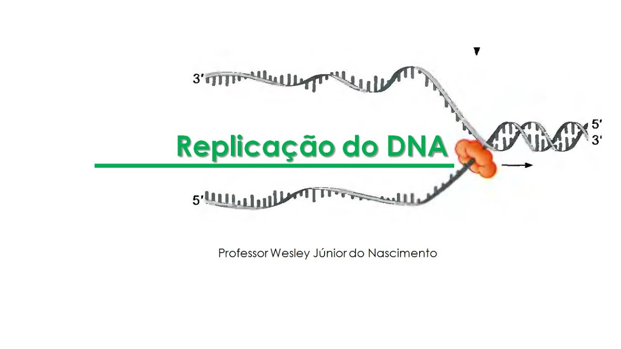 Biologia Molecular- Aula 02- Replicação do DNA