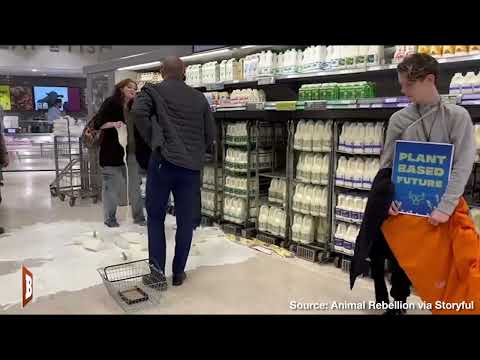 Worse than SPOILED MILK! Spoiled Brat Animal Activists  Pour Milk onto Floor to Protest...SOMETHING?