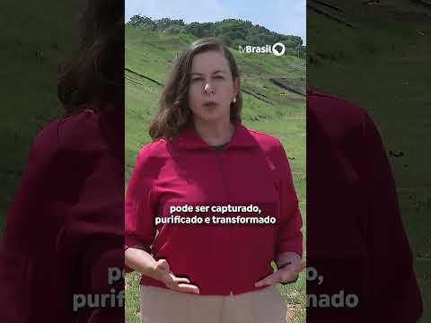 Caminhos da Reportagem detalha a produção de biometano