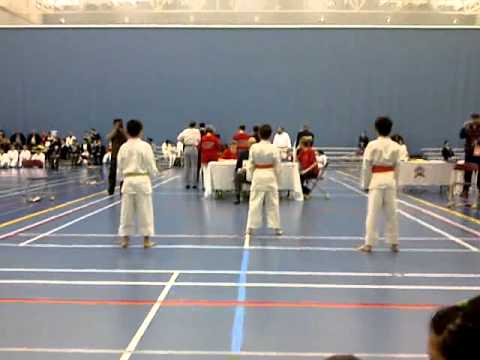 Julian Zechmann -  Heian Nidan /  Team Kata (14.05.11)