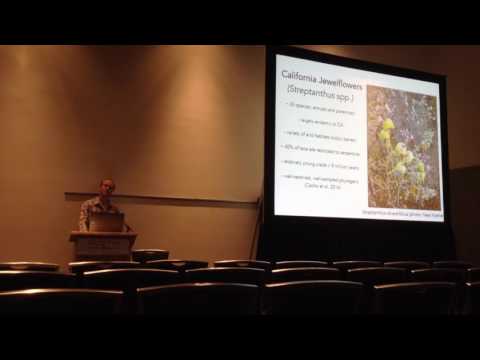 Christie:Patterns of reproductive isolation in California Jewelflowers (Streptanthus)
