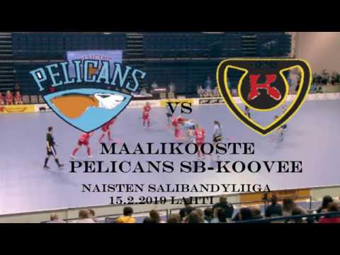 Maalikooste Pelicans SB-KOOVEE  15.2.2019