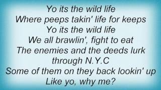 Fat Joe - The Wild Life Lyrics