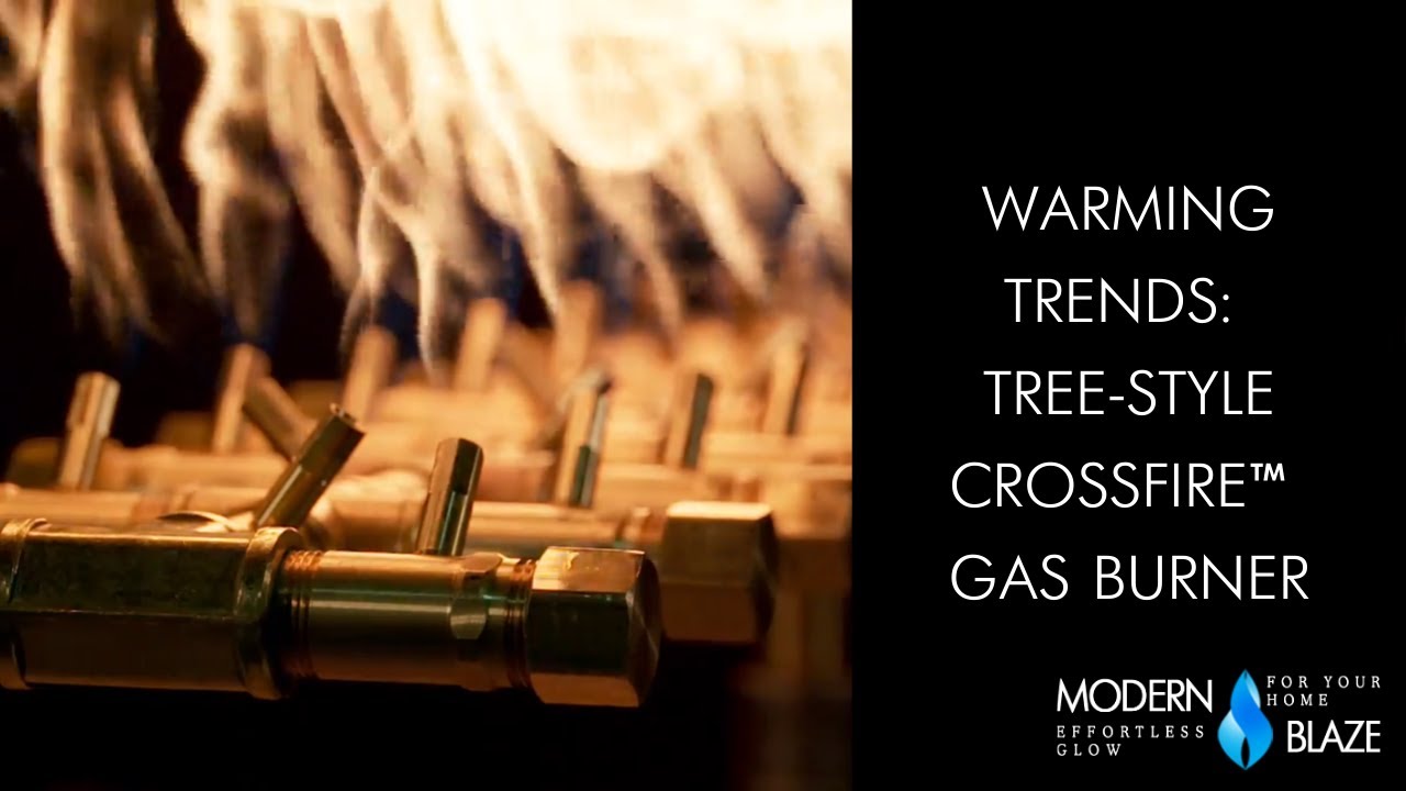 Warming Trends 52-Inch Brass Gas Burner (CFBT350) — Modern Blaze