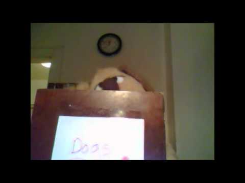 THIS IS NOT THE ODDITY ARCHIVE