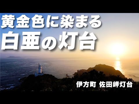 黄金色に染まる白亜の灯台（伊方町 佐田岬灯台）