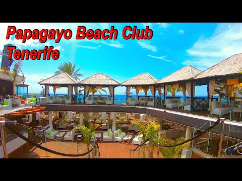 Papagayo Beach Club ☀️ Tenerife 2023