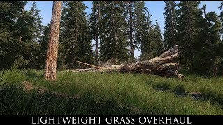 Skyrim SE Mods: Lightweight Grass Overhaul