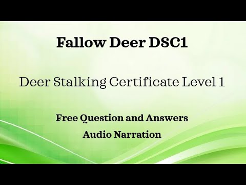 DSC1 Fallow Deer Section Q&A Deer Stalking Certificate Level 1 FREE Audio Main Paper Revision