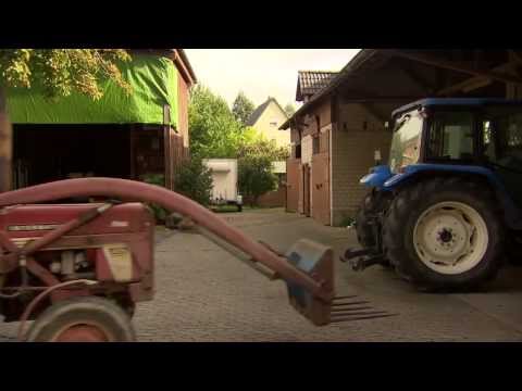 Hans Sarpei - Das T steht für Coach | Trailer | Sonntag 18:15 Uhr, TELE 5