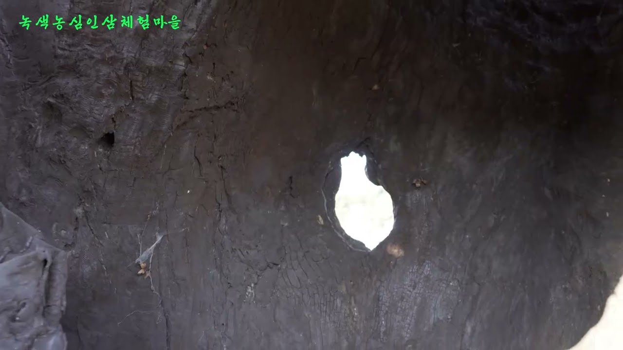 주변 풍경 영상