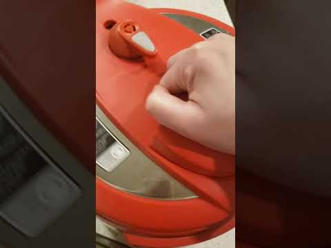 Defrosting 1lb of frozen ground beef in your Instant...