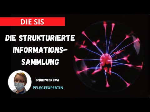 Die Strukturierte Informationssammlung! #SIS #Pflege | @DiePflegeexpertin